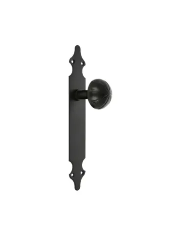 Pomo puerta con placa 18 - 280 x 45 x 2 mm - Placa de acero, Pomo de zamak - Negro