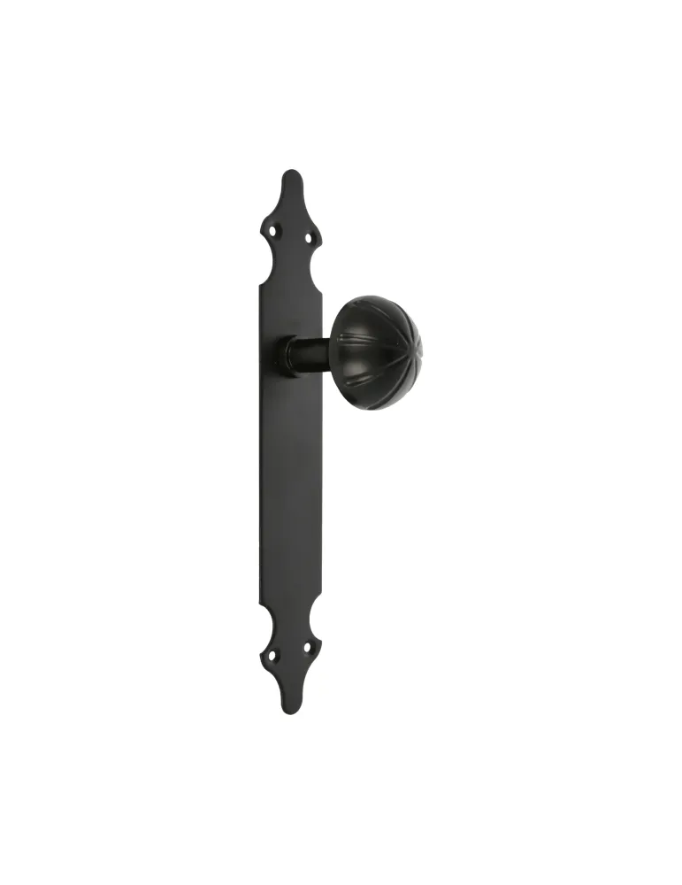 Pomo puerta con placa 18 - 280 x 45 x 2 mm - Placa de acero, Pomo de zamak - Negro