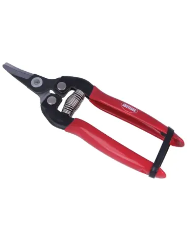 Tijera recolección P16 - 6 3/4'' - Acero - Rojo-Negro