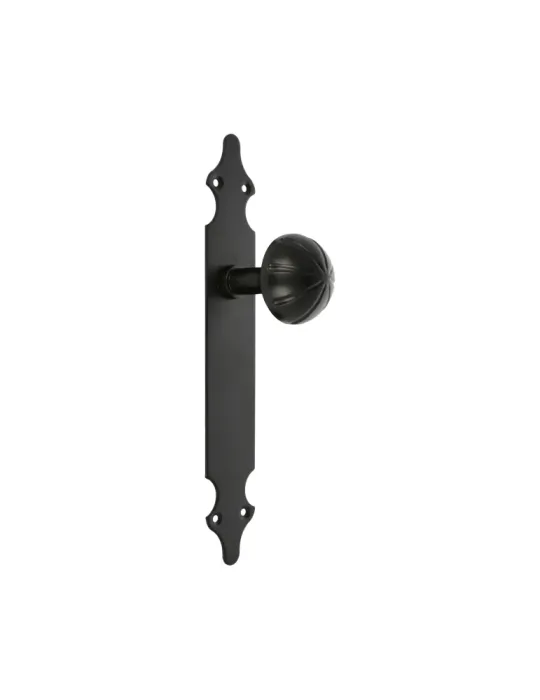 Pomo puerta con placa 18 - 280 x 45 x 2 mm - Placa de acero, Pomo de zamak - Negro