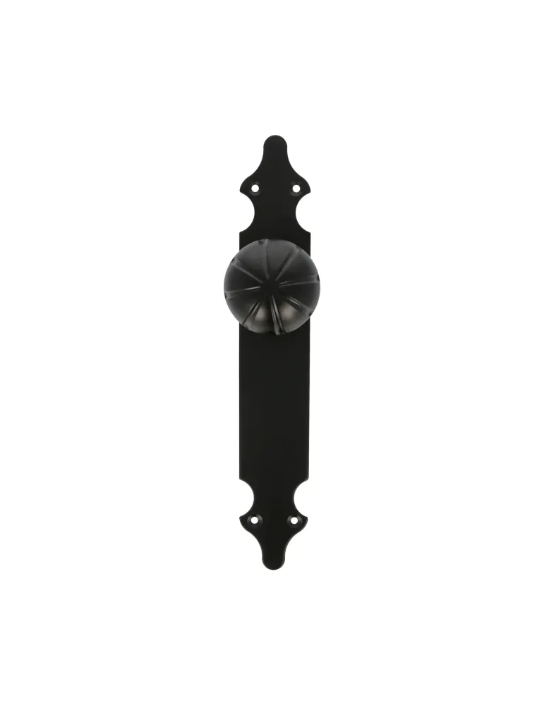 Pomo puerta con placa 18 - 280 x 45 x 2 mm - Placa de acero, Pomo de zamak - Negro