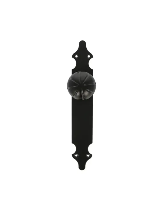 Pomo puerta con placa 18 - 280 x 45 x 2 mm - Placa de acero, Pomo de zamak - Negro