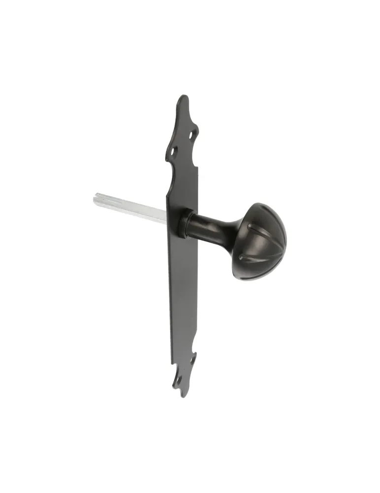 Pomo puerta con placa 18 - 280 x 45 x 2 mm - Placa de acero, Pomo de zamak - Negro