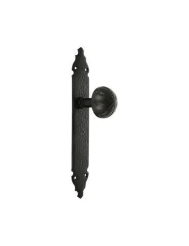 Pomo puerta con placa 19 - 280 x 45 x 2 mm - Placa de acero, Pomo de zamak - Negro 2