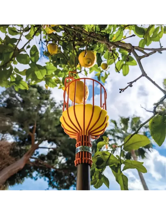 Recogedor de frutas P44 - Acero - Naranja