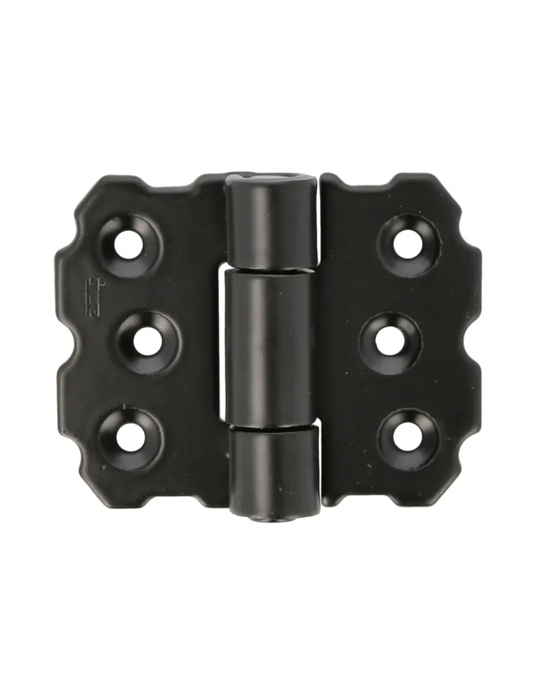 Bisagra 9000 - 55 x 70 mm - Acero - Negro