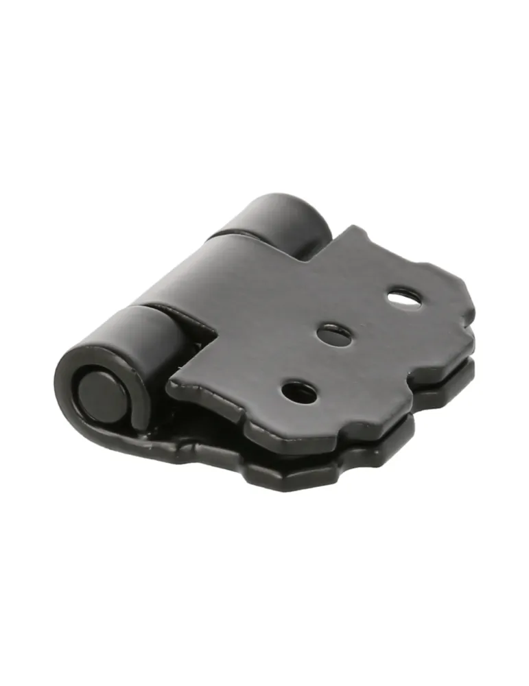 Bisagra 9000 - 55 x 70 mm - Acero - Negro
