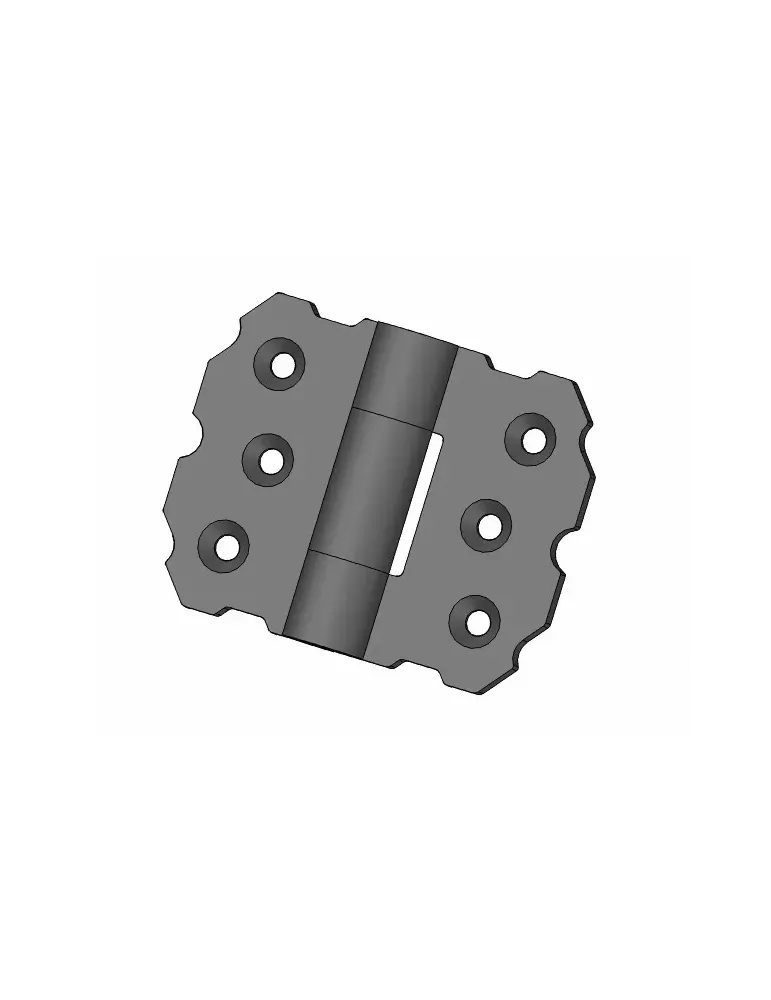 Bisagra 9000 - 55 x 70 mm - Acero - Negro