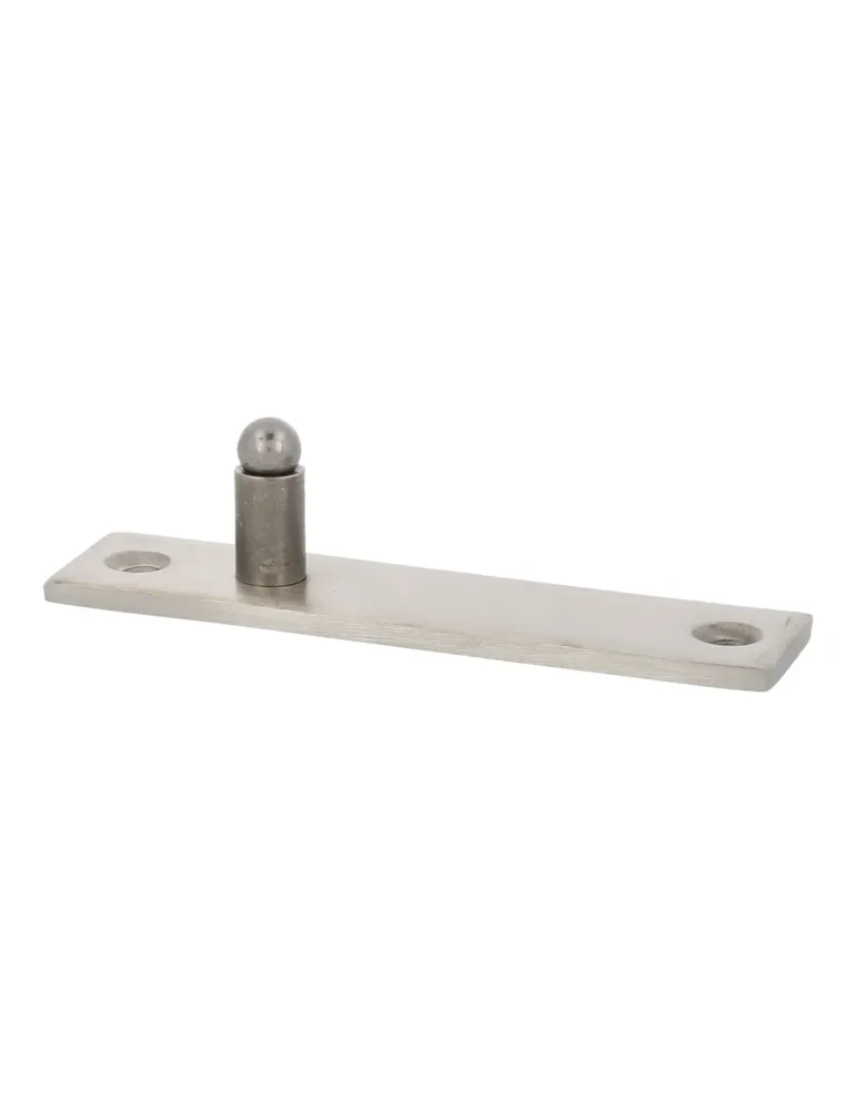 Bisagra PIVOT01 - Acero inoxidable 18/8 - Mate