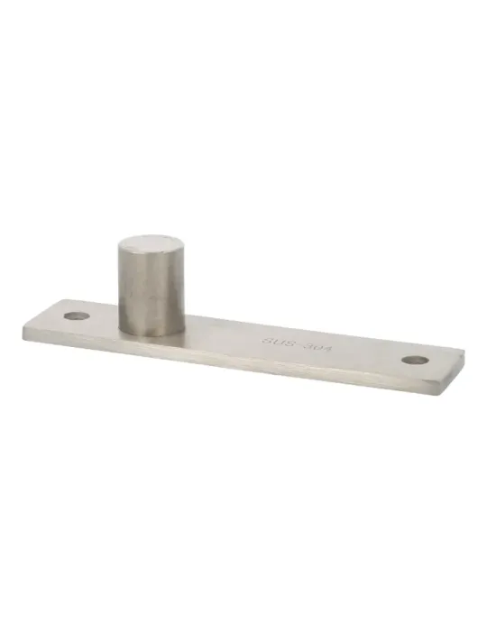 Bisagra PIVOT01 - Acero inoxidable 18/8 - Mate