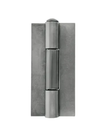 Bisagra libro Mod. 20