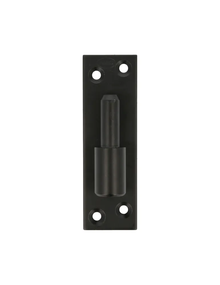 Pernio placa simple 4900 - 130 x 40 x 4 mm - Acero - Negro