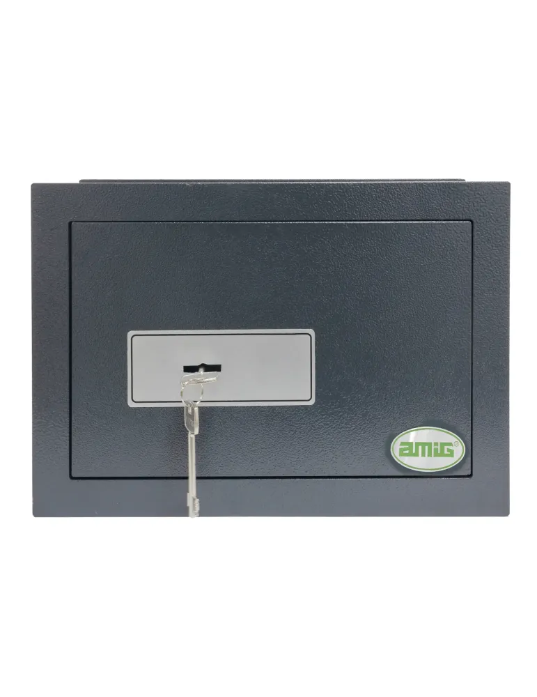 Caja fuerte TOPSECURE-W - 300 x 150 x 200 mm - Acero - Gris