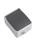 Conmutador estanco IP54 3610 - 90 x 65 x 52 mm - Policarbonato - Gris