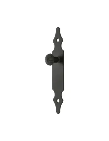 Escudo tirador 100 - 146 x 30 mm - Acero - Negro