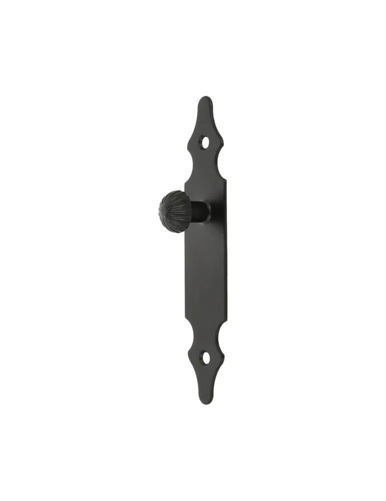 Escudo tirador 100 - 146 x 30 mm - Acero - Negro