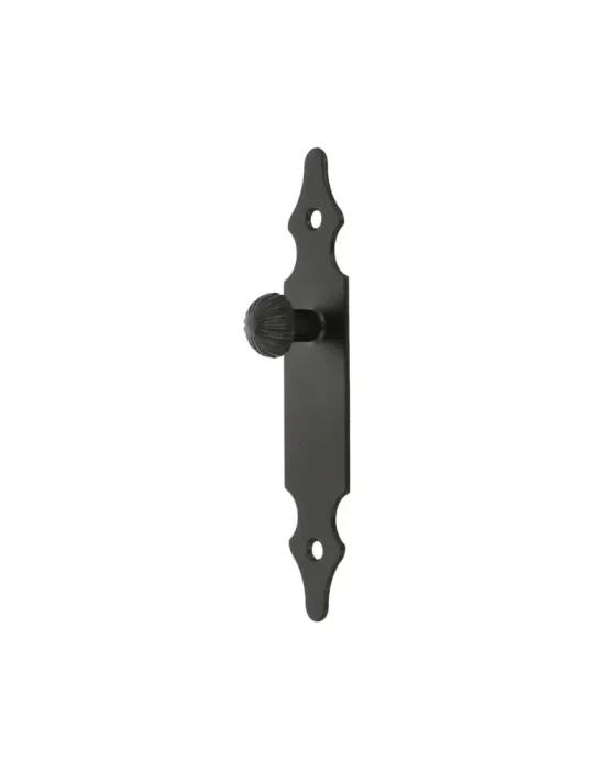 Escudo tirador 100 - 146 x 30 mm - Acero - Negro