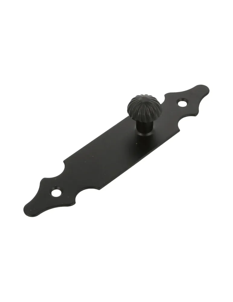 Escudo tirador 100 - 146 x 30 mm - Acero - Negro