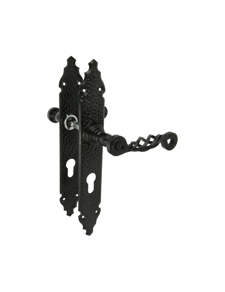 Manilla con placa 102PB - 280 x 44 mm - Placa de acero, Tirador de zamak - Negro