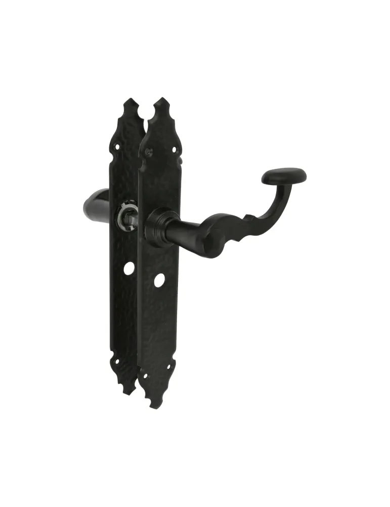 Manilla con placa 100PW - 280 x 44 mm - Placa de acero, Tirador de zamak - Negro