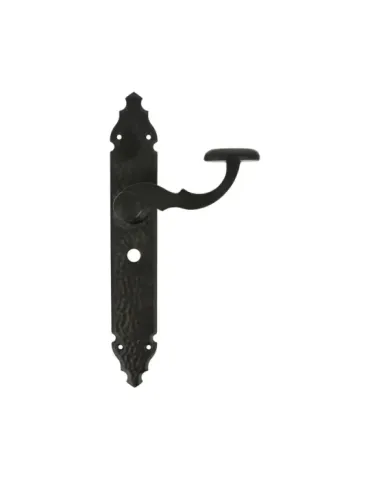 Manilla con placa 100PW - 280 x 44 mm - Placa de acero, Tirador de zamak - Negro 2
