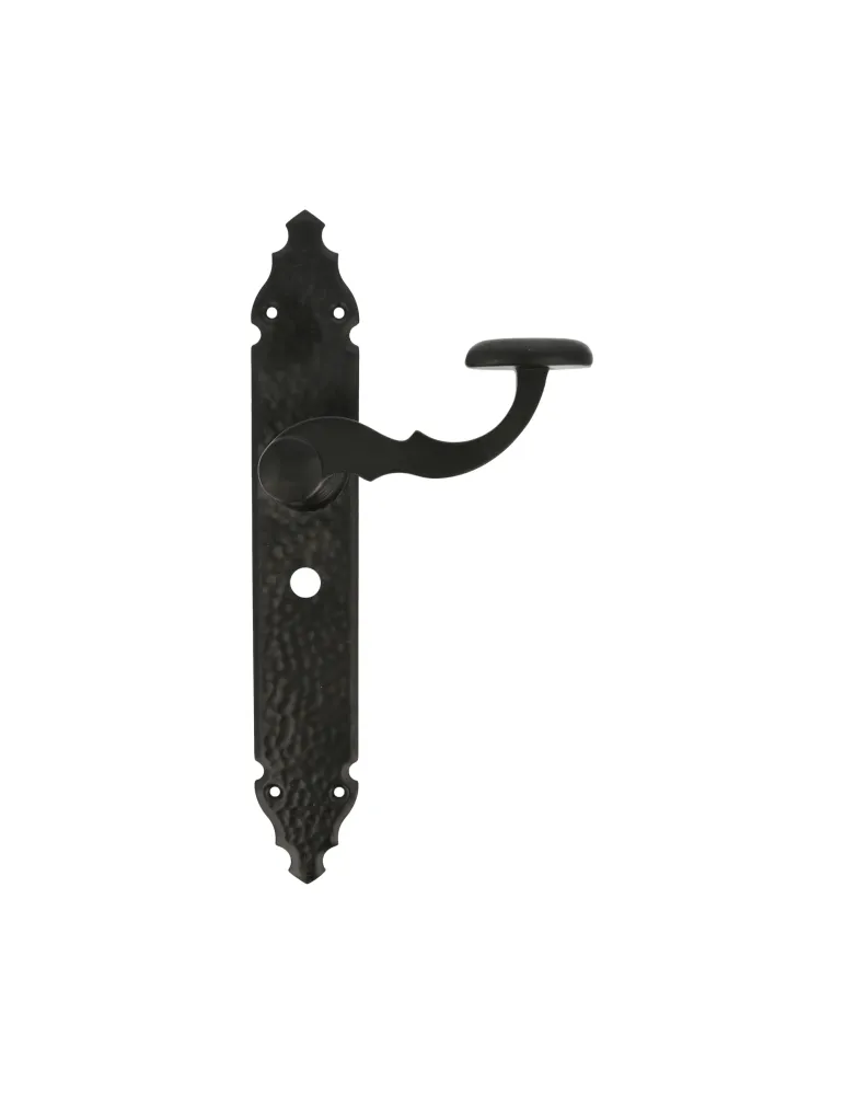 Manilla con placa 100PW - 280 x 44 mm - Placa de acero, Tirador de zamak - Negro