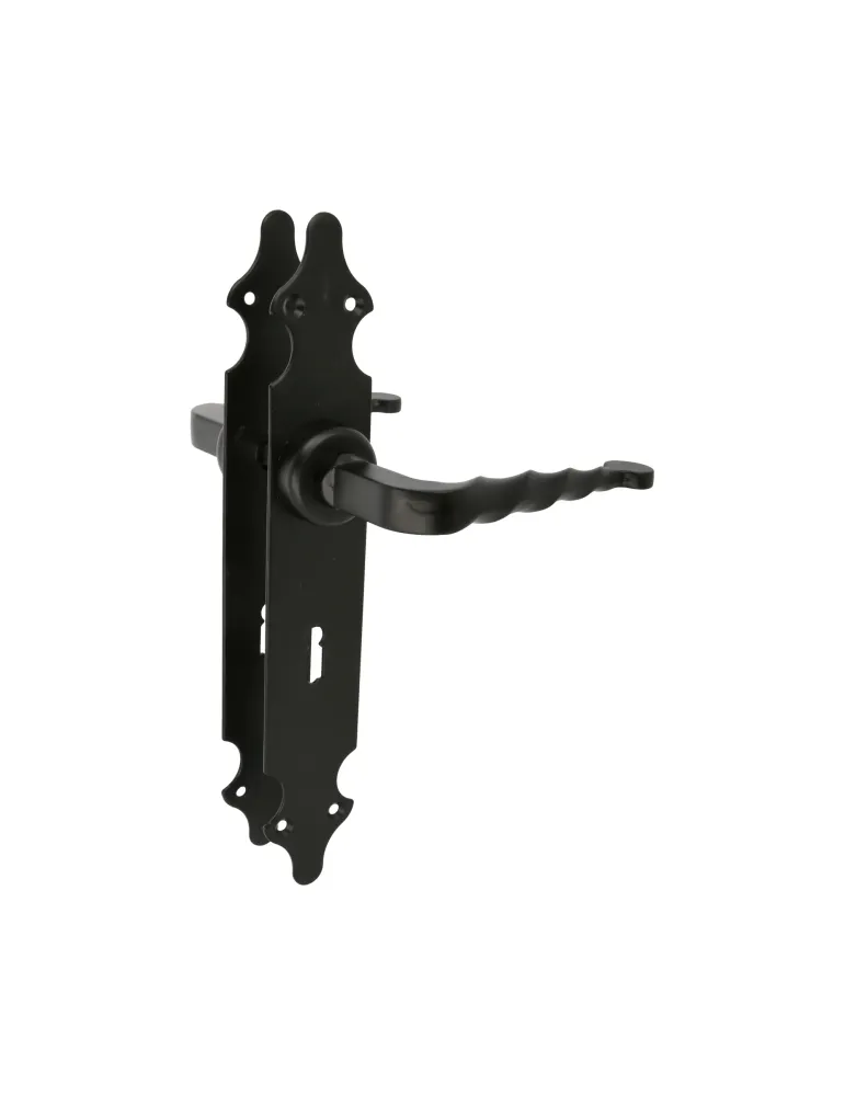 Manilla con placa 101PG - 280 x 44 mm - Placa de acero, Tirador de zamak - Negro