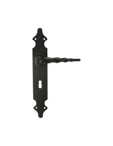 Manilla con placa 101PG - 280 x 44 mm - Placa de acero, Tirador de zamak - Negro 2