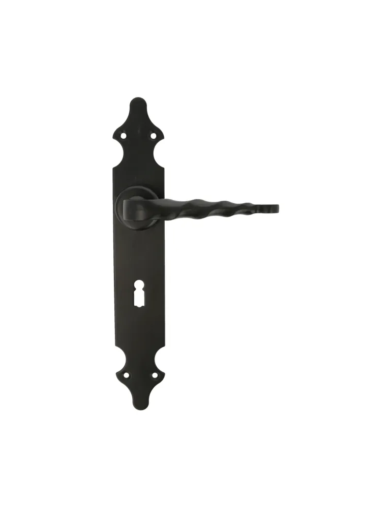 Manilla con placa 101PG - 280 x 44 mm - Placa de acero, Tirador de zamak - Negro