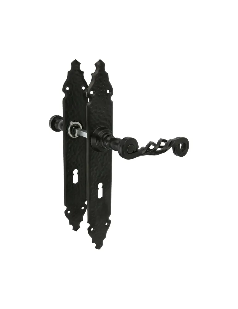 Manilla con placa 102PG - 280 x 44 mm - Placa de acero, Tirador de zamak - Negro
