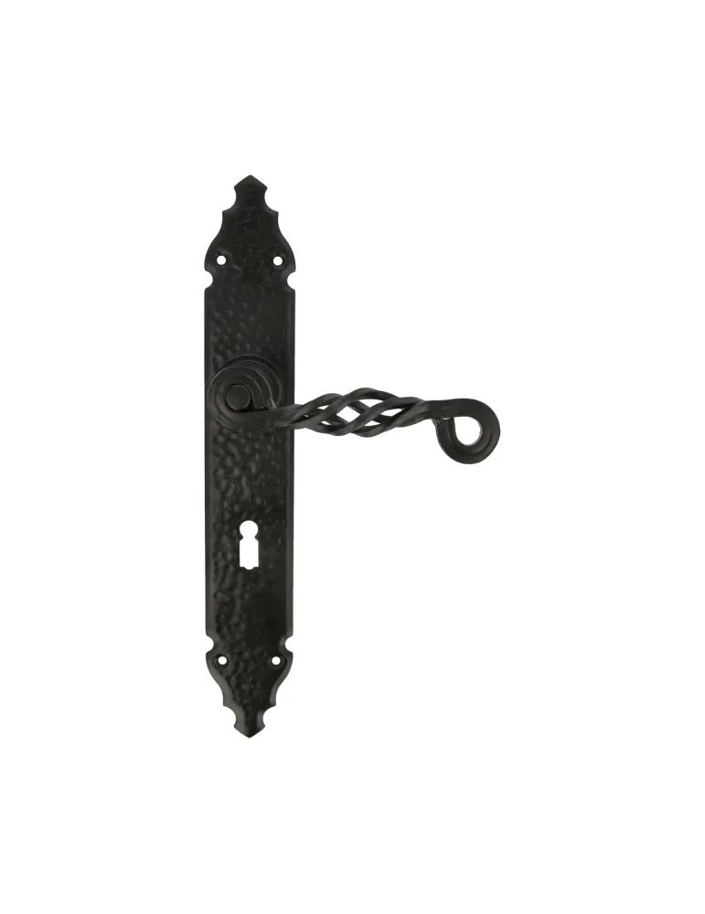 Manilla con placa 102PG - 280 x 44 mm - Placa de acero, Tirador de zamak - Negro