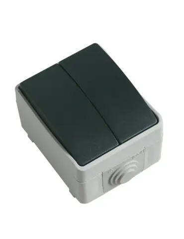 Interruptor doble estanco IP54 3622 - 90 x 65 x 52 mm - Policarbonato - Gris