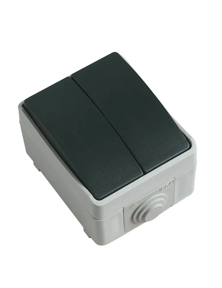 Interruptor doble estanco IP54 3622 - 90 x 65 x 52 mm - Policarbonato - Gris
