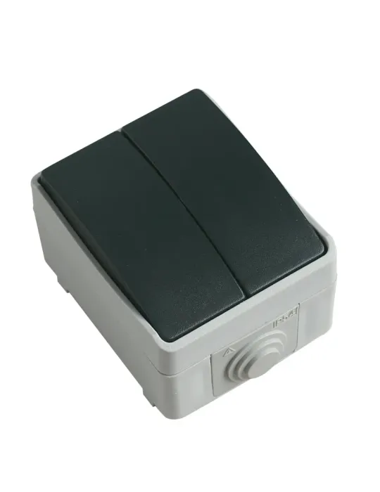 Interruptor doble estanco IP54 3622 - 90 x 65 x 52 mm - Policarbonato - Gris