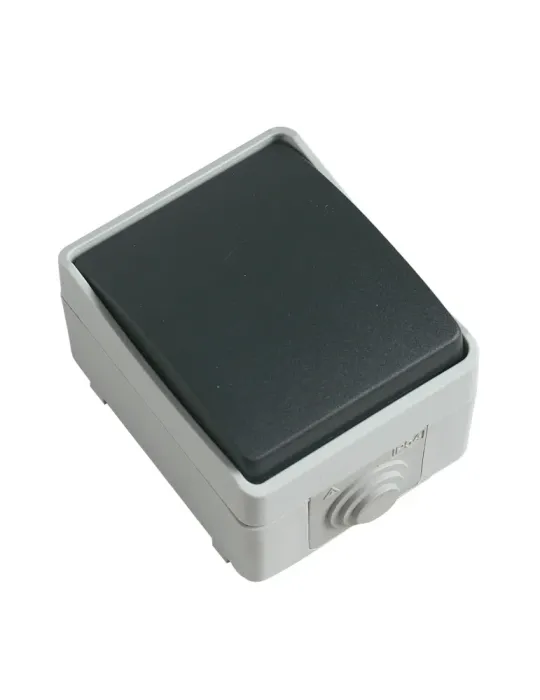 Interruptor estanco IP54 3621 - 90 x 65 x 52 mm - Policarbonato - Gris